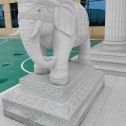 焦作 白麻花岗岩动物异形石雕-大象