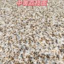 焦作黄金麻中黄荔枝面