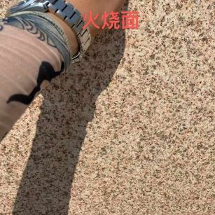 焦作黄金麻火烧面