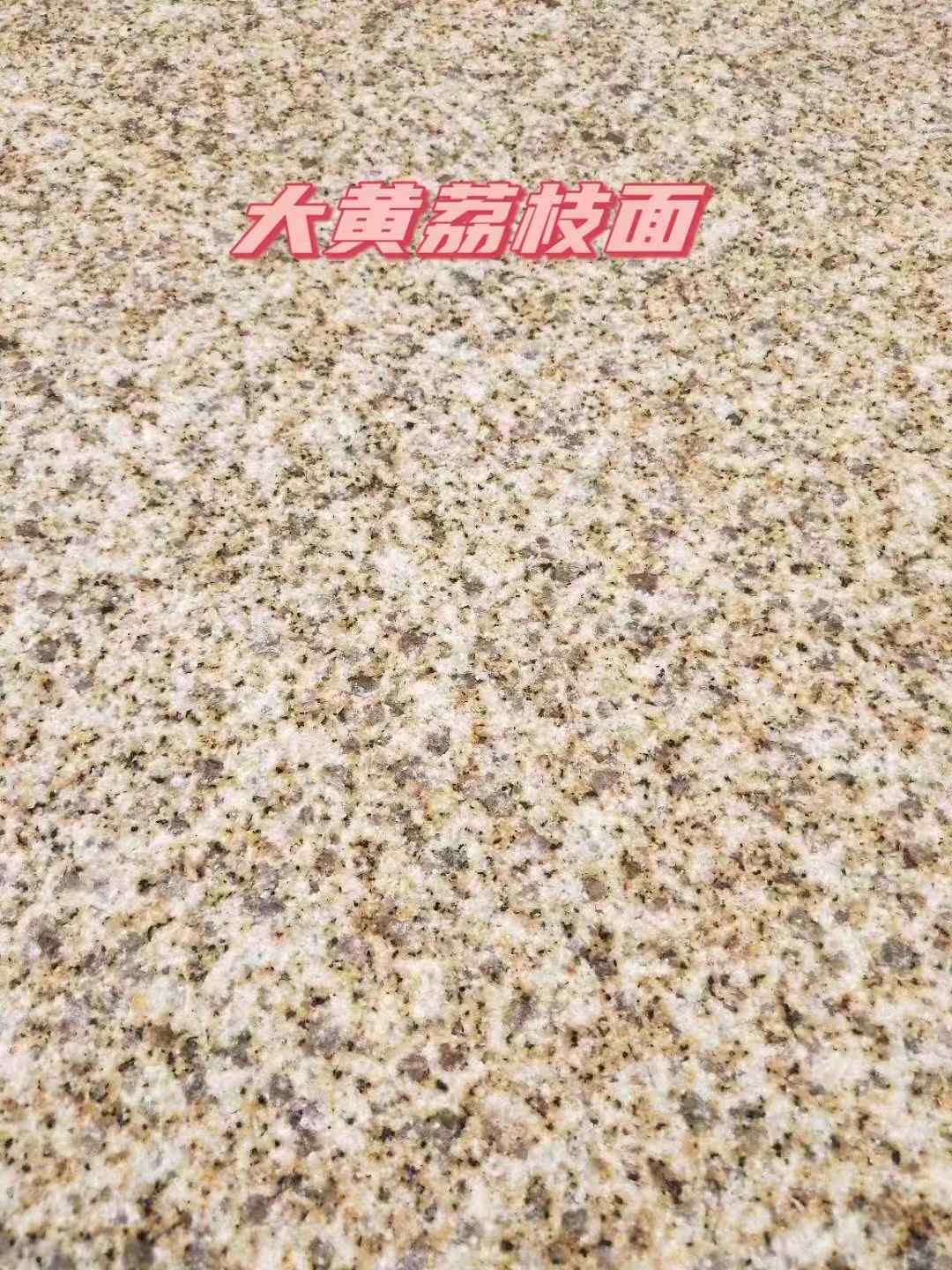 焦作黄金麻大黄荔枝面