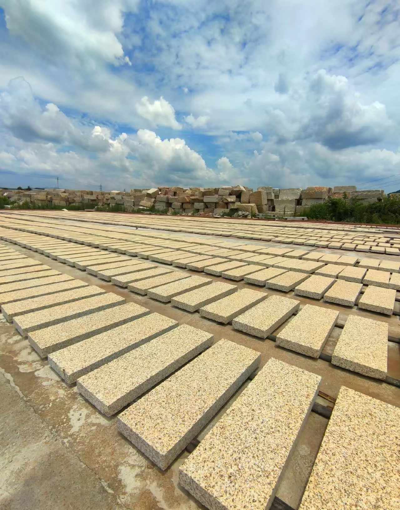 焦作 黄金麻荔枝面花岗岩石材地铺石防护中