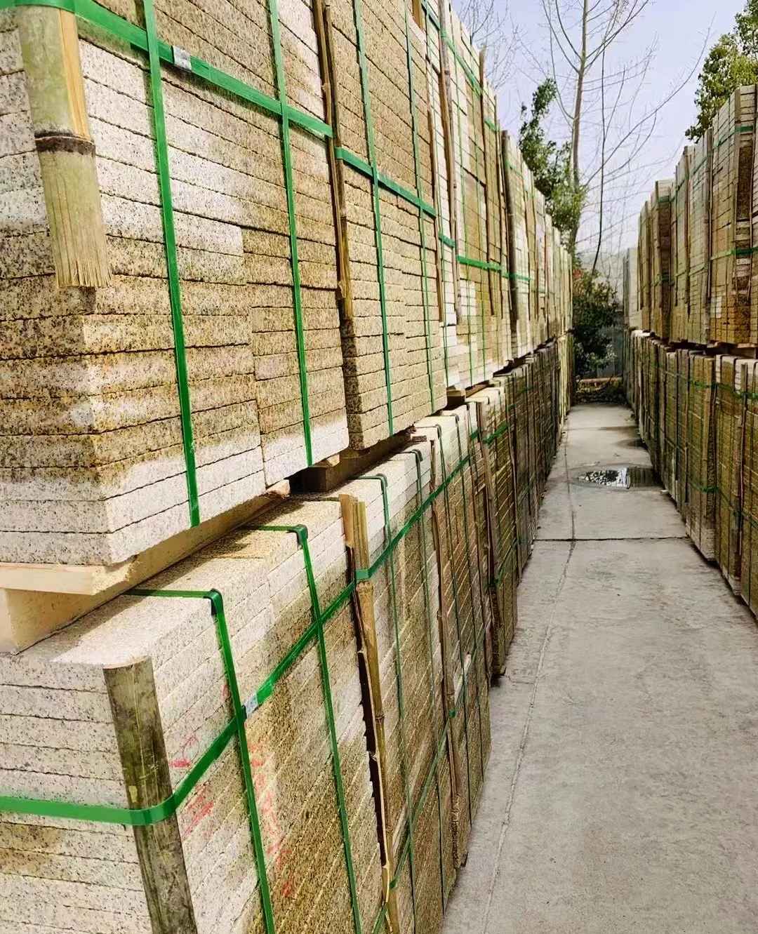 焦作 黄金麻花岗岩荔枝面地铺石