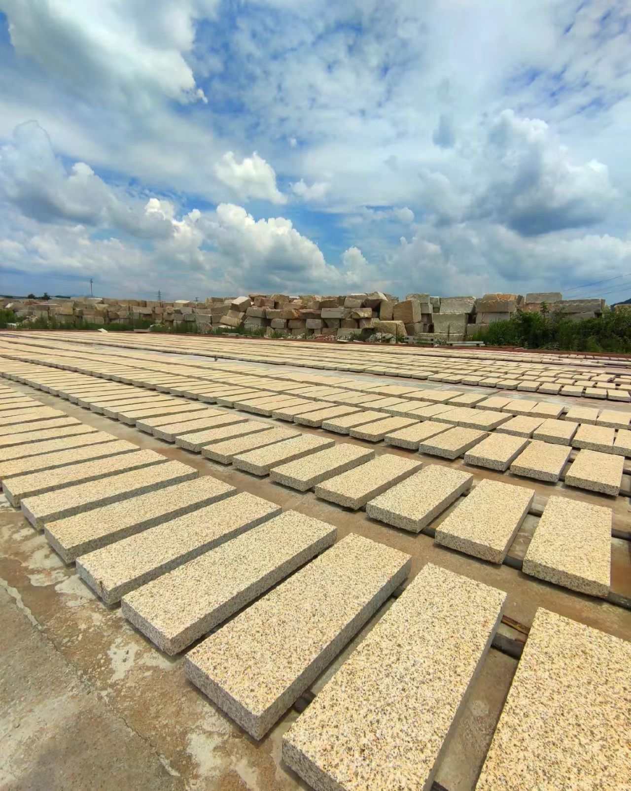 焦作 黄金麻花岗岩荔枝面地铺石防护中